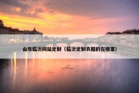 山东临沂网站定制（临沂定制衣服的在哪里）