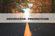 合肥微信网站开发流程，合肥微信网站开发流程图