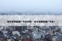 哈尔滨网站推广今日价格？ 哈尔滨微信推广平台？