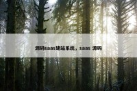 源码saas建站系统，saas 源码
