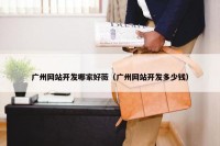 广州网站开发哪家好薇（广州网站开发多少钱）