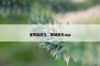 宜网站优化，网站优化app