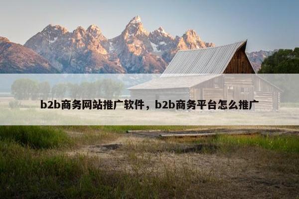 b2b商务网站推广软件，b2b商务平台怎么推广