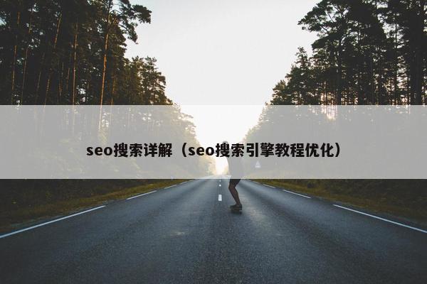 seo搜索详解（seo搜索引擎教程优化）