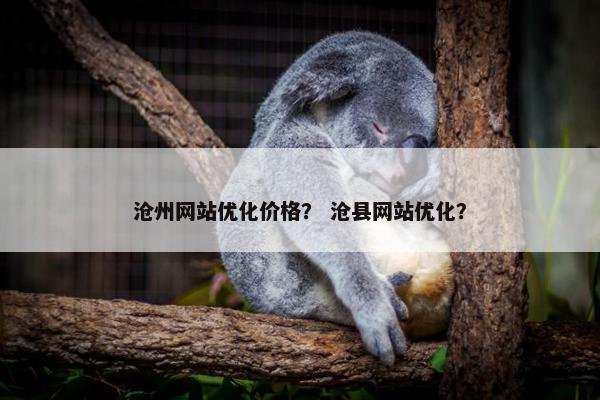 沧州网站优化价格？ 沧县网站优化？
