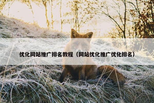 优化网站推广排名教程（网站优化推广优化排名）