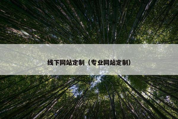 线下网站定制（专业网站定制）