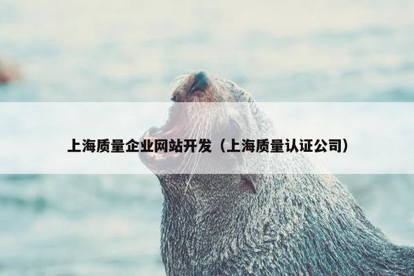 上海质量企业网站开发（上海质量认证公司）