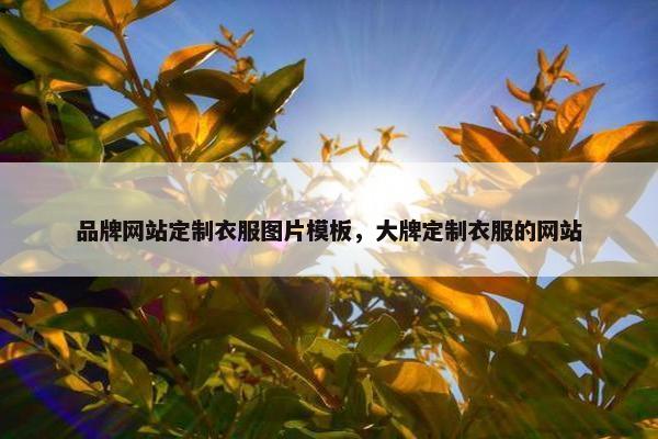 品牌网站定制衣服图片模板，大牌定制衣服的网站
