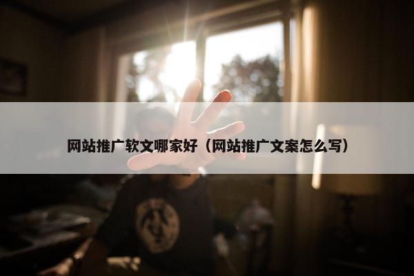 网站推广软文哪家好（网站推广文案怎么写）