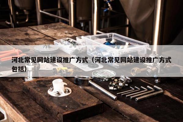 河北常见网站建设推广方式（河北常见网站建设推广方式包括）