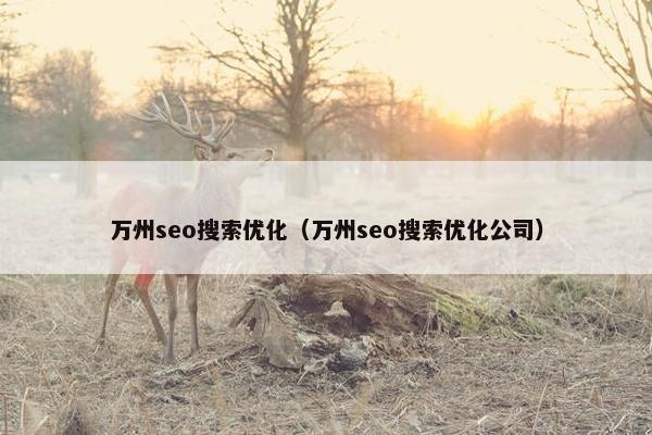 万州seo搜索优化（万州seo搜索优化公司）