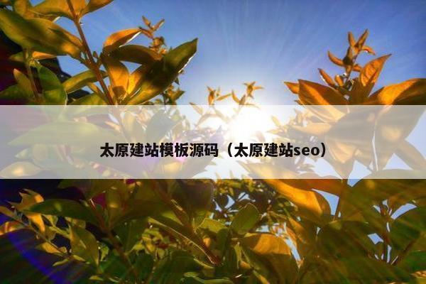 太原建站模板源码（太原建站seo）