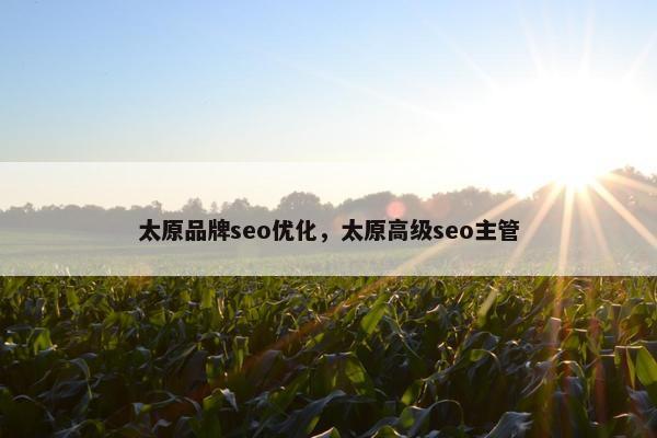 太原品牌seo优化，太原高级seo主管
