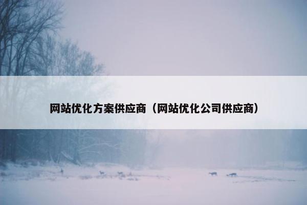 网站优化方案供应商（网站优化公司供应商）