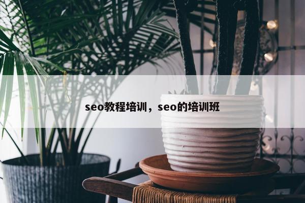 seo教程培训，seo的培训班
