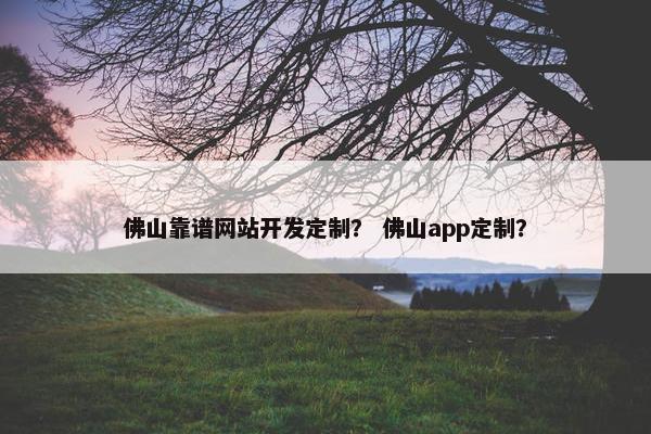 佛山靠谱网站开发定制？ 佛山app定制？