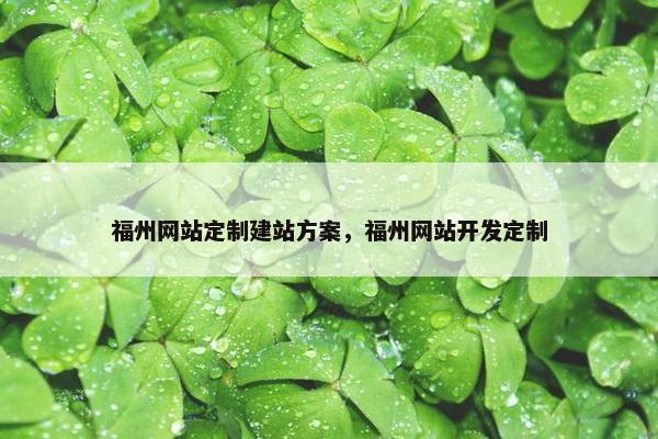 福州网站定制建站方案，福州网站开发定制