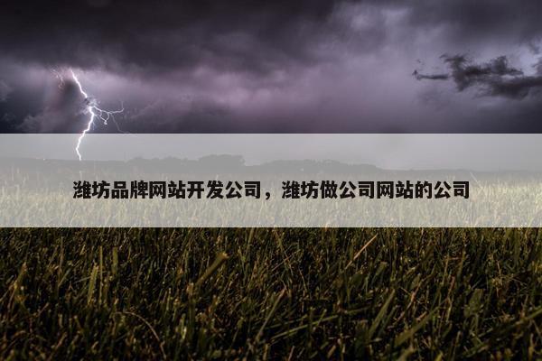 潍坊品牌网站开发公司，潍坊做公司网站的公司