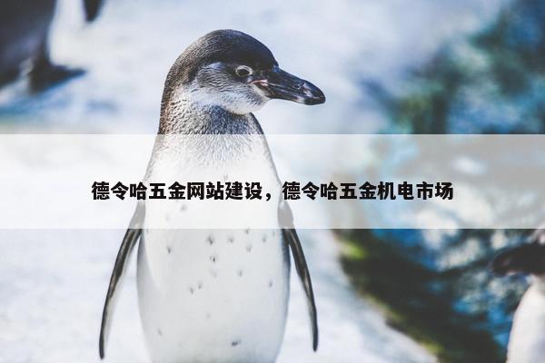 德令哈五金网站建设，德令哈五金机电市场