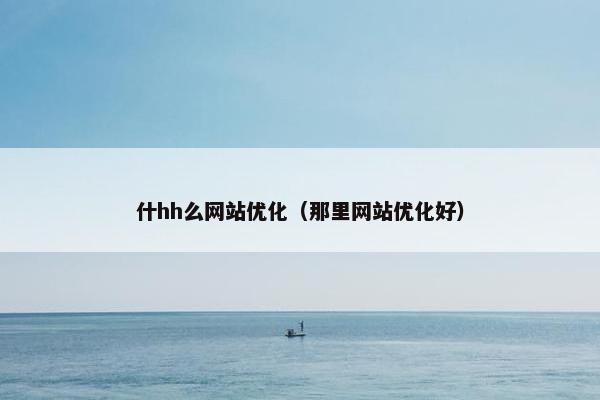 什hh么网站优化（那里网站优化好）