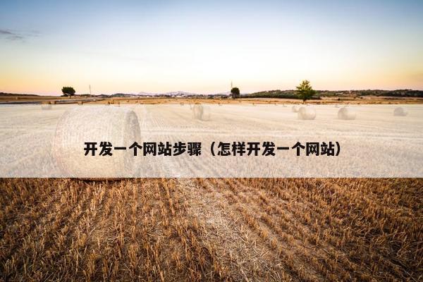 开发一个网站步骤（怎样开发一个网站）