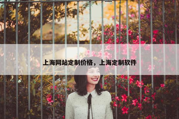 上海网站定制价格，上海定制软件