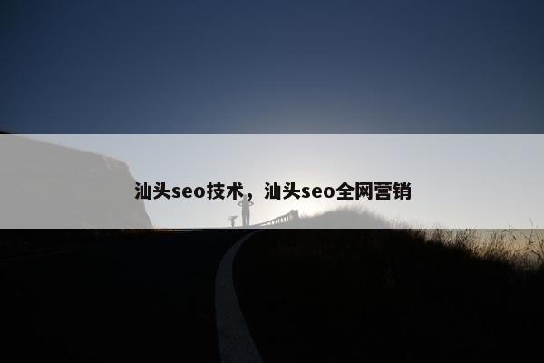 汕头seo技术，汕头seo全网营销