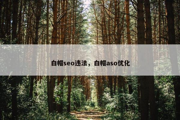 白帽seo违法，白帽aso优化