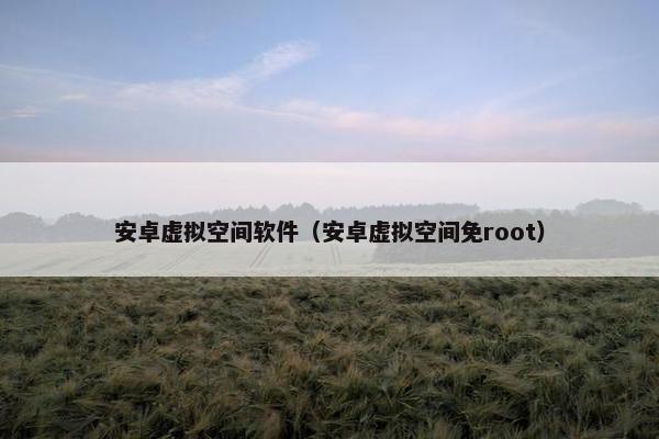 安卓虚拟空间软件（安卓虚拟空间免root）