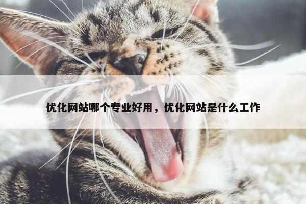 优化网站哪个专业好用，优化网站是什么工作