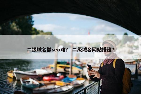 二级域名做seo难？ 二级域名网站搭建？