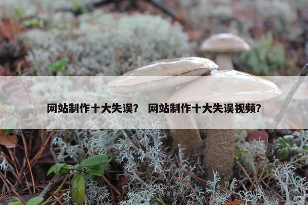 网站制作十大失误？ 网站制作十大失误视频？