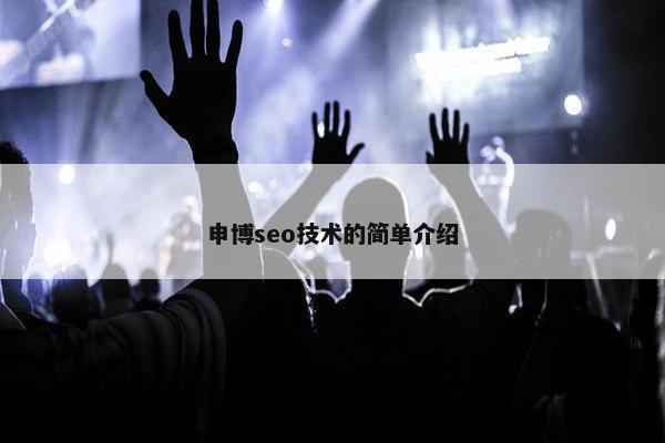 申博seo技术的简单介绍