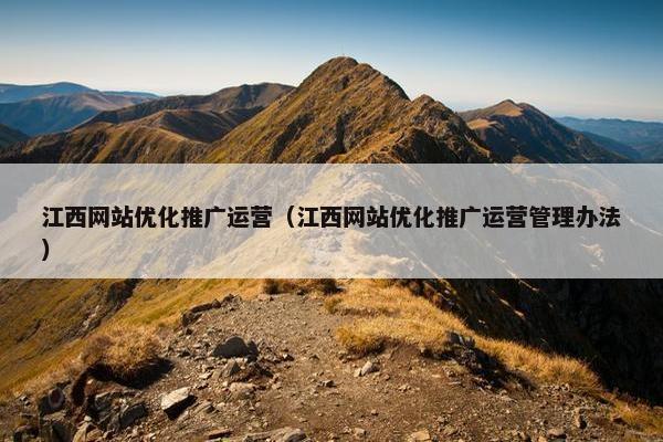 江西网站优化推广运营（江西网站优化推广运营管理办法）