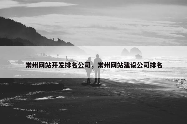 常州网站开发排名公司，常州网站建设公司排名