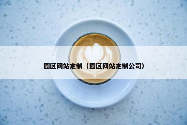 园区网站定制（园区网站定制公司）