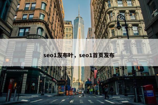 seo1发布叶，seo1首页发布