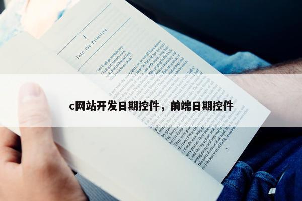 c网站开发日期控件，前端日期控件