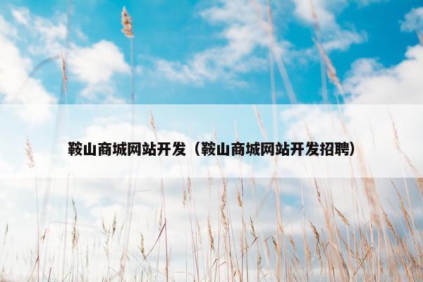 鞍山商城网站开发（鞍山商城网站开发招聘）
