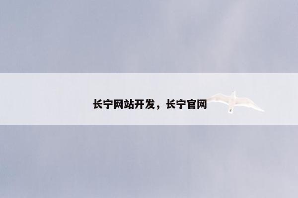 长宁网站开发，长宁官网