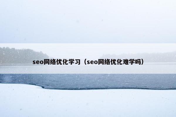 seo网络优化学习（seo网络优化难学吗）