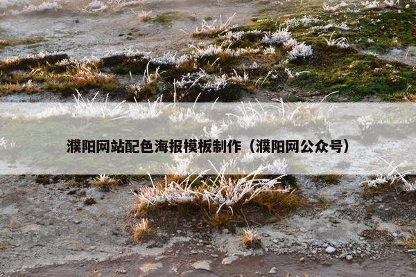 濮阳网站配色海报模板制作（濮阳网公众号）