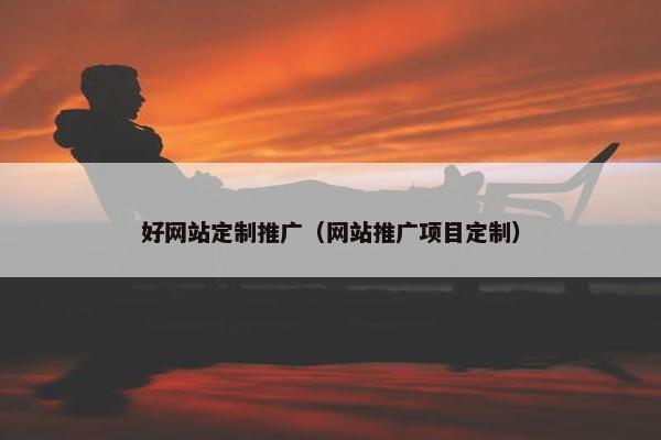 好网站定制推广（网站推广项目定制）