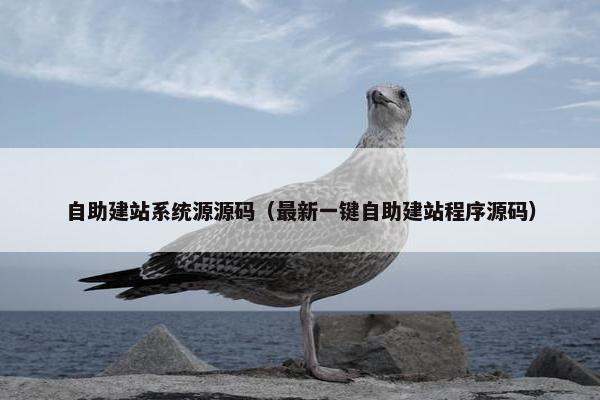 自助建站系统源源码（最新一键自助建站程序源码）