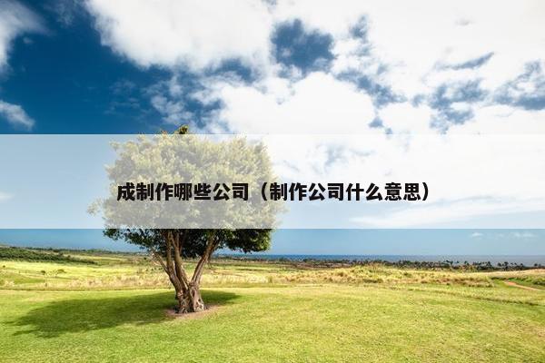 成制作哪些公司（制作公司什么意思）