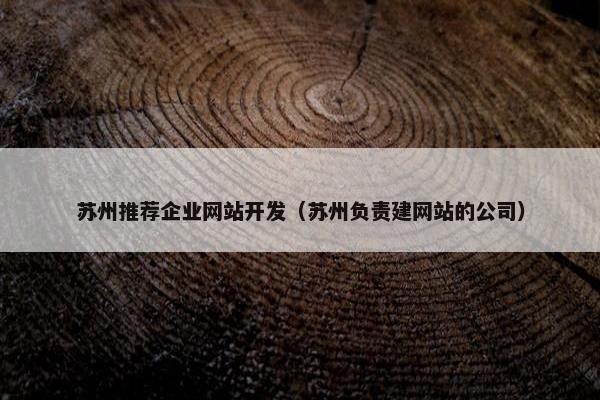 苏州推荐企业网站开发（苏州负责建网站的公司）