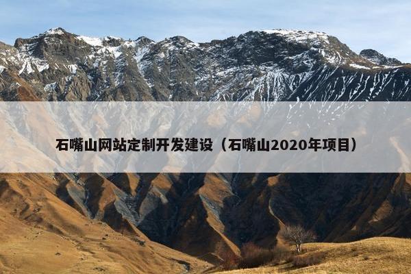 石嘴山网站定制开发建设（石嘴山2020年项目）