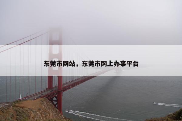 东莞市网站，东莞市网上办事平台