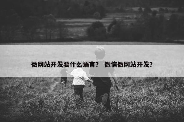 微网站开发要什么语言？ 微信微网站开发？